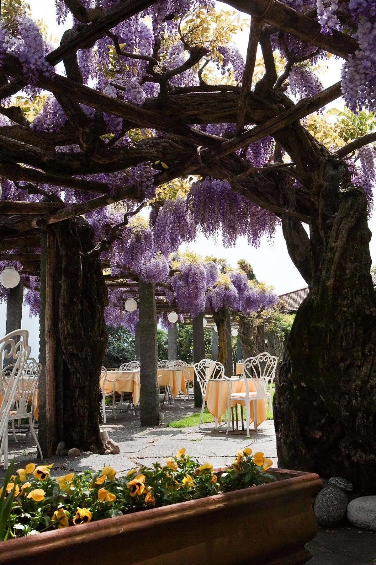 Hotel Ascona Exterior photo